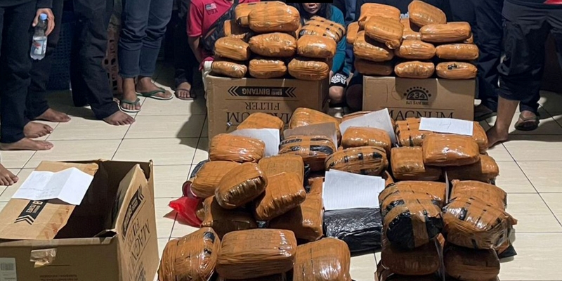 Polda Metro Jaya Gagalkan Peredaran Ganja 83 Kilogram Jaringan Sumatera