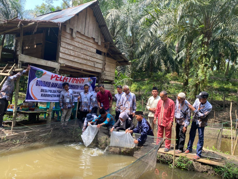 Desa Polak Pisang Lakukan Pelatihan Budidaya Lele, Camat Kelayang : Jadilah Contoh Bagi Desa Yang Lain