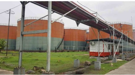 Capai 87,84 Persen, Kepuasan Pelanggan PTPN V Tertinggi se-Holding Perkebunan Nusantara