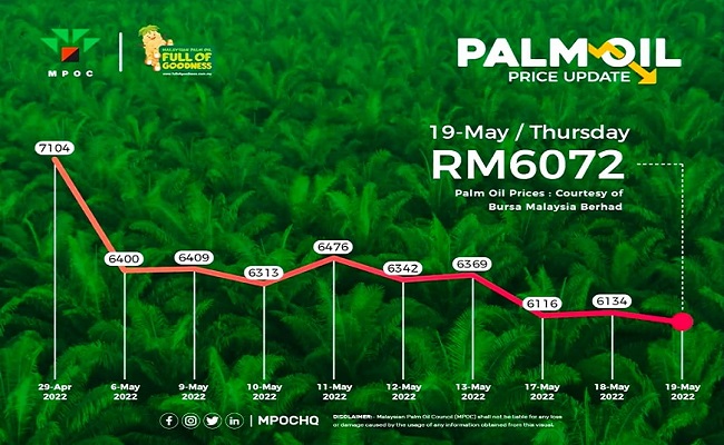 Harga CPO di Pasar Global US$ 1.380/Ton, Pasca Ekspor CPO Kembali Dibuka