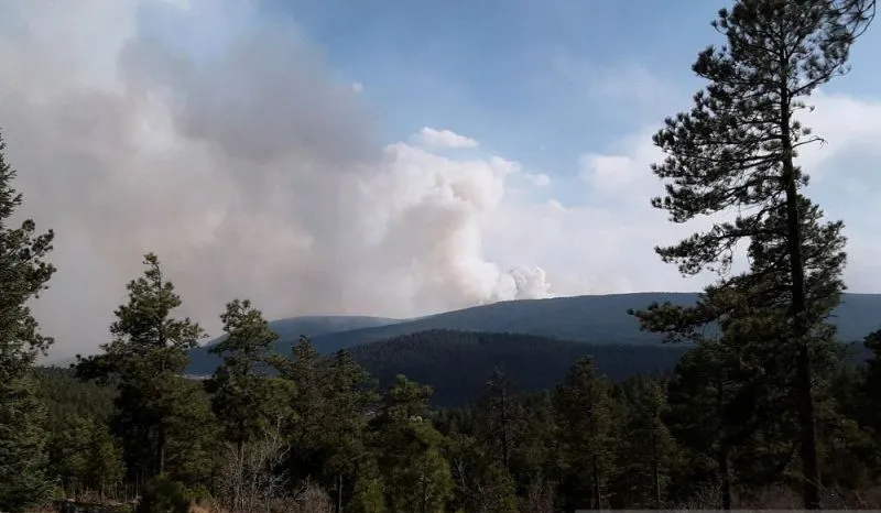 Kebakaran Hutan Terbesar AS di New Mexico, Api Menjalar Dekati Las Vegas
