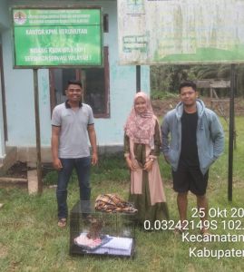 Macan Akar Ditemukan Kondisi Sakit di Kerumutan Diserahkan Warga ke BBKSDA