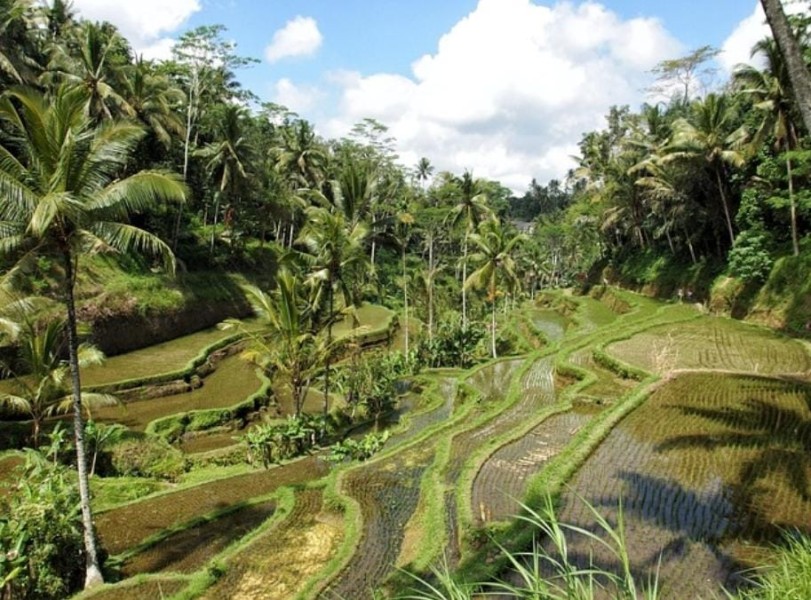5 Spot Adventure Terbaik di Bali yang Wajib Dicoba Traveler Petualang