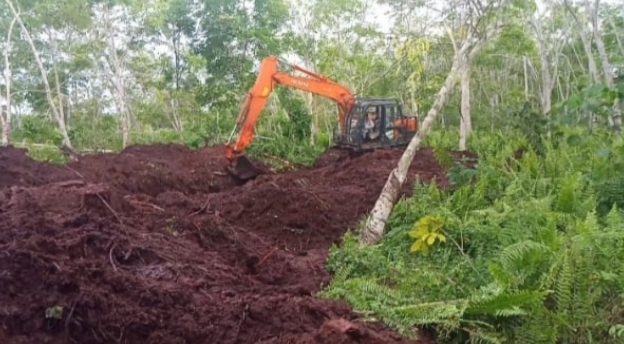 Diduga PT Arara Abadi Serobot Lahan Milik Masyarakat Koto Ringin