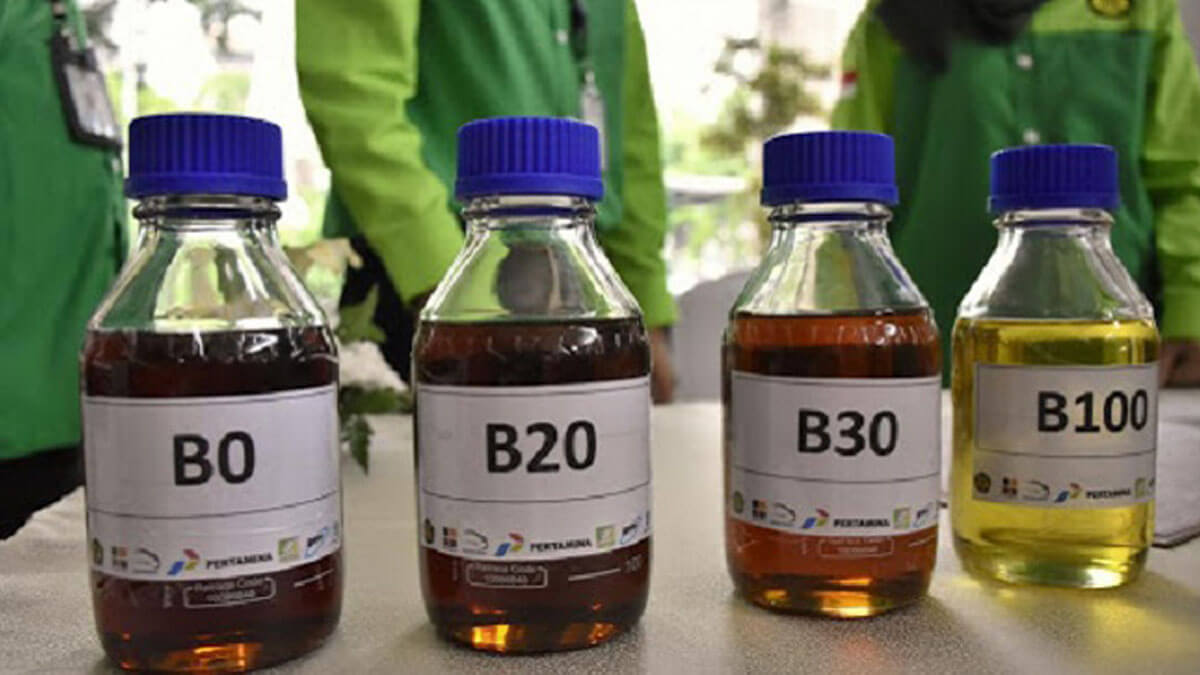 Catatan Penting Kebijakan B35 dari Petani Sawit, Belum Bantu Naikan Harga TBS Sawit