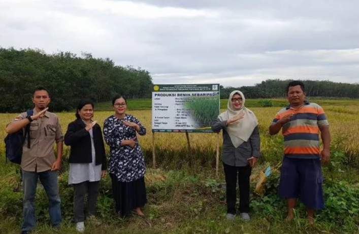 BPTP Riau Dorong Petani Rokan Hulu Produksi Benih Bermutu