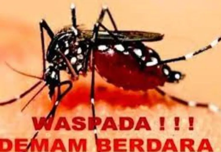 Dinas Kesehatan Riau Gencarkan Gerakan 3 M cegah DBD