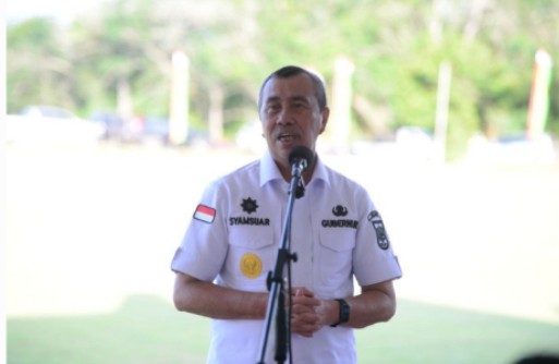 Sikapi Penurunan Harga Sawit, Ini yang Akan Dilakukan Gubri