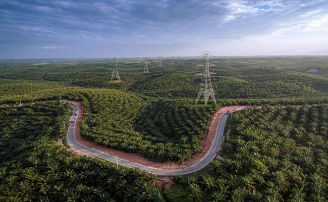 Petani Kelapa Sawit Swadaya di Kubu Raya Didorong Peroleh STDB Untuk 1.000 Persil