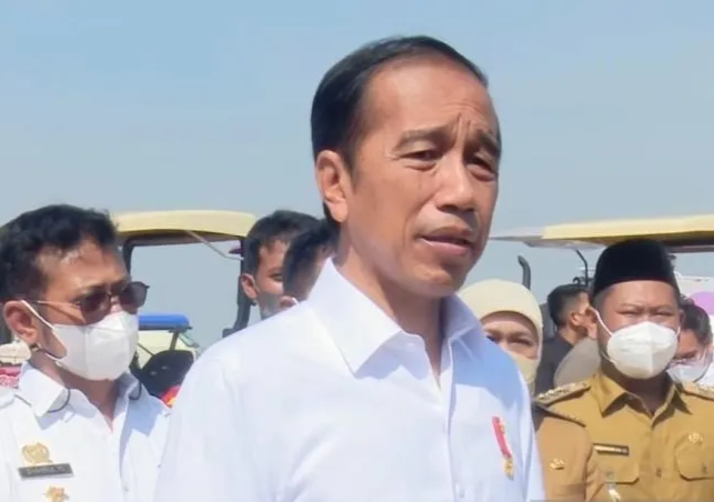 Presiden Jokowi minta Tingkatkan Produksi Mangga di Gresik Penuhi Domestik-Ekspor