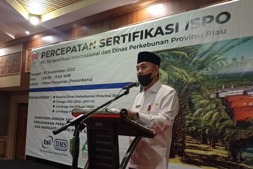 Pelaku Usaha Sawit di Riau Diharap Memiliki Sertifikasi ISPO