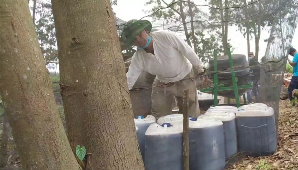 Awalnya Pindah-pindah Tempat, Kini Petani Madu di Tualang Bisa Hasilnya Hingga 1 Ton Sekali Panen