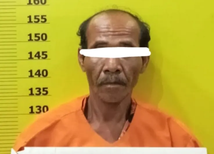 Biadab, Pria di Rohil ini Berkali-kali Cabuli Anak Tiri