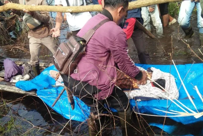 Warga Tasik Serai Bengkalis Tewas diterkam Harimau