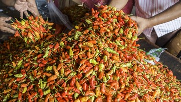 Ini Penyebab Harga Cabai di Jakarta Sangat Pedas Hingga Rp130 Ribu