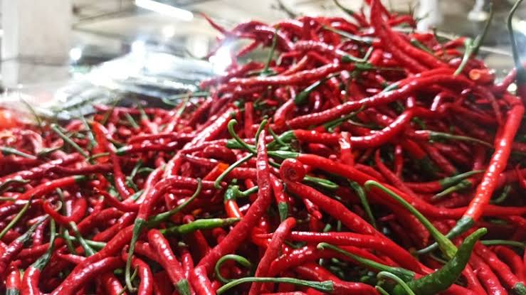 Harga Cabai di Pekanbaru Semakin 'Pedas', Sekilo Tembus Rp85.000