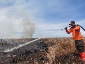 BPBD Riau Lakukan Persiapan Hadapi Musim Kemarau, Kordinasi Cegah Karhutla