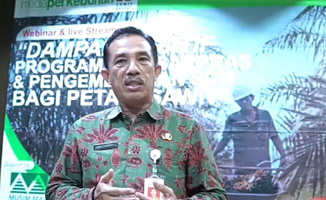 Sediakan 200 Ribu Bibit Sawit Subsidi Untuk Peremajaan Sawit Rakyat