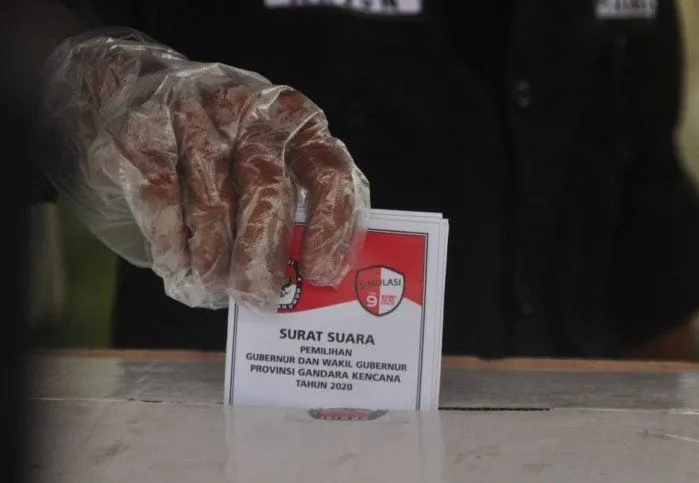 Wakil Ketua Komisi II jelaskan alasan usul penghapusan pilgub secara langsung