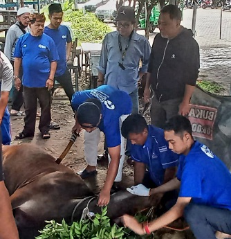 Demokrat Riau Sembelih Hewan Qurban, Arwan Citra : Disalurkan Untuk Fakir Miskin