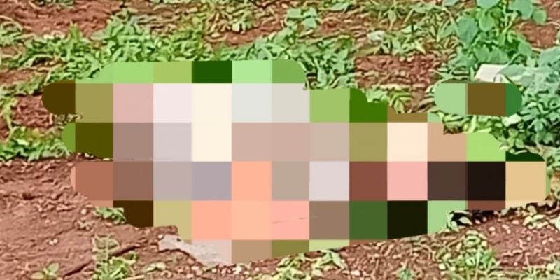 Terapis Meninggal di Pejaten Ternyata Pakai KTP Kerabat saat Lamar Kerja