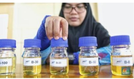 Naik Hampir Rp 400 Harga Biodiesel Sawit di Februari 2024