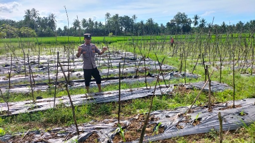 Polisi Kunjungi Kebun Masyarakat