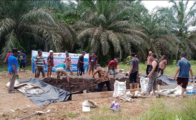 Gawat! Pupuk Mahal, Mafia Ambil Kesempatan