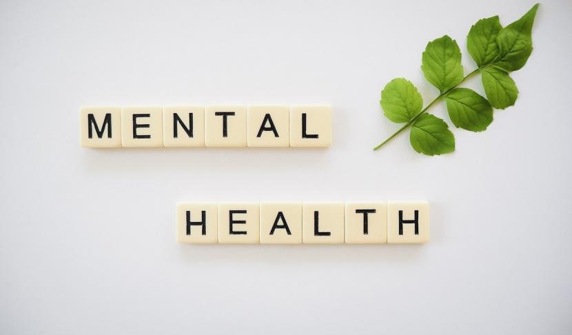 Kepala BKKBN: Satu dari 10 Orang Indonesia Idap Mental Emotional Disorder