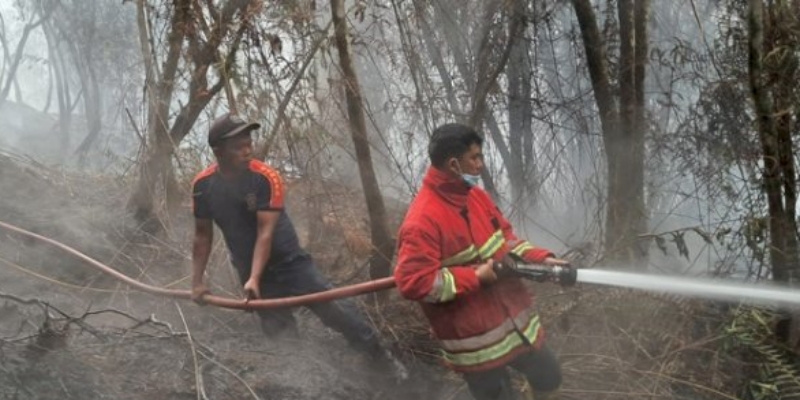 50 Hektare Lahan Hutan di Taput dan Humbahas Ludes Terbakar