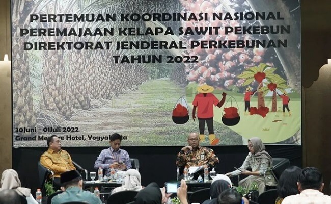 Kementan Pastikan Permentan No. 3 Tahun 2022 Bisa Genjot Peremajaan Sawit Rakyat