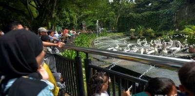 Taman Margasatwa Ragunan Targetkan Pendapatan Rp 20 Miliar pada 2023