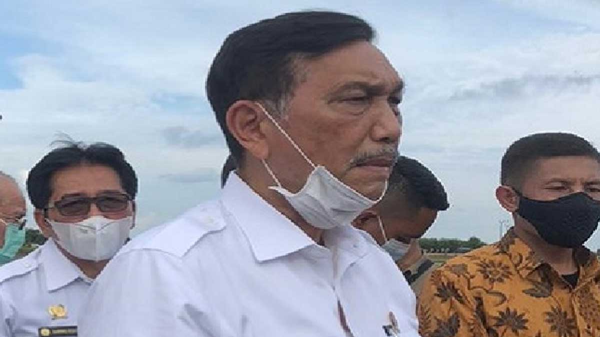 Luhut Panjaitan: Sektor Sawit Masih Dominan yang Belum Bayar Pajak