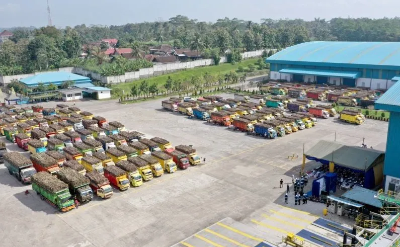 Presiden Jokowi Perintahkan Jajaran untuk Tingkatkan Produksi Gula Konsumsi