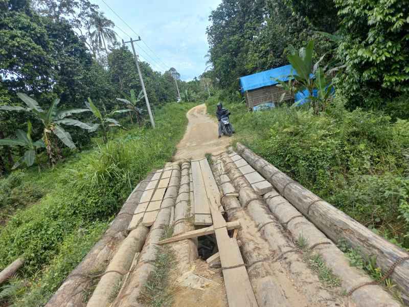 Rusak Parah! Warga Minta Pemkab Inhu Perbaiki Sejumlah Jembatan Jalan Penghubung Tiga Desa di Kecamatan Batang Gansal 