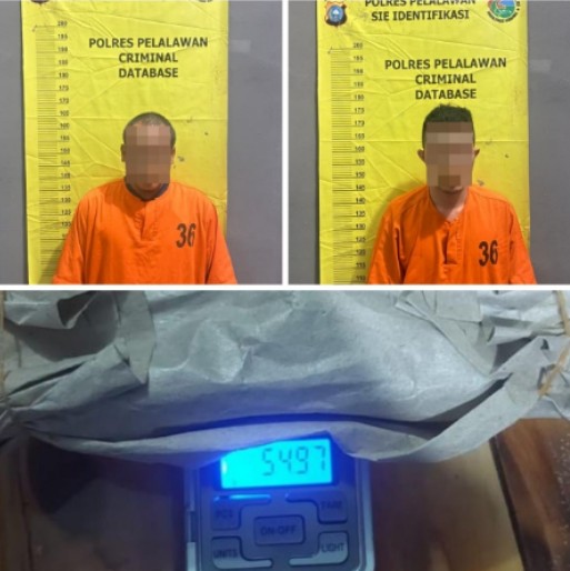 Bandar Narkoba Dan Kaki Ditangkap Polisi Di Ukui