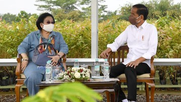 Hasto Sebut Megawati Sudah Bicara dengan Jokowi soal Capres PDIP