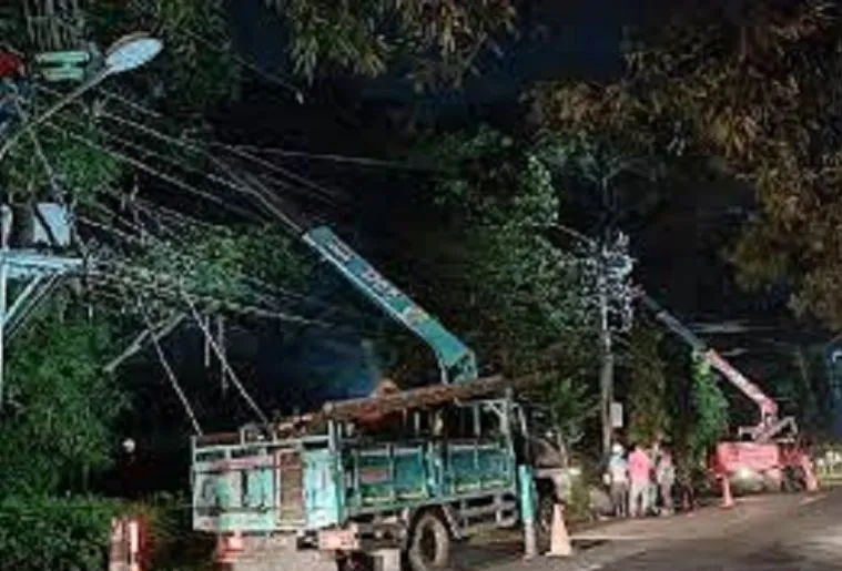 PT PLN (Persero) Pulihkan Enam Titik Jaringan Listrik Lumpuh akibat Cuaca Ekstrem