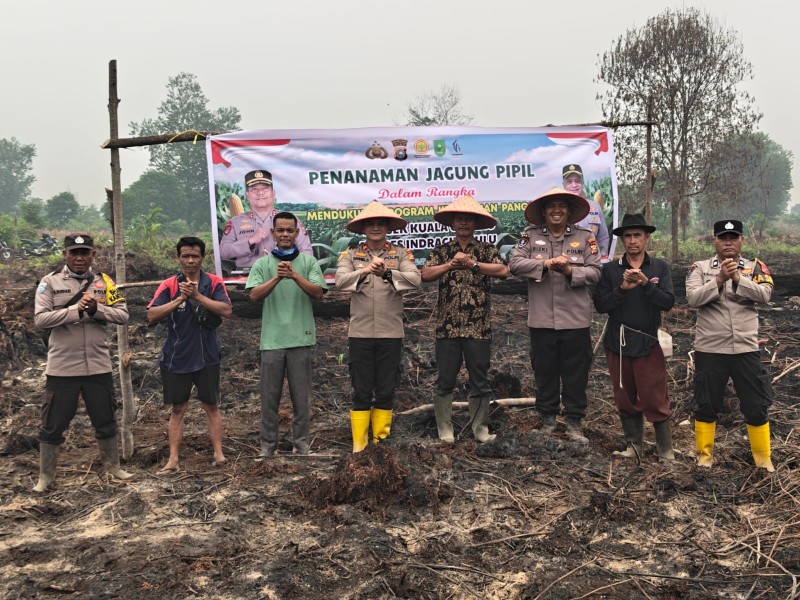 Wujudkan Ketahanan Pangan, Kapolsek Kuala Cenaku Turun Langsung Tanam Jagung Pipil di Desa Tanjung Sari