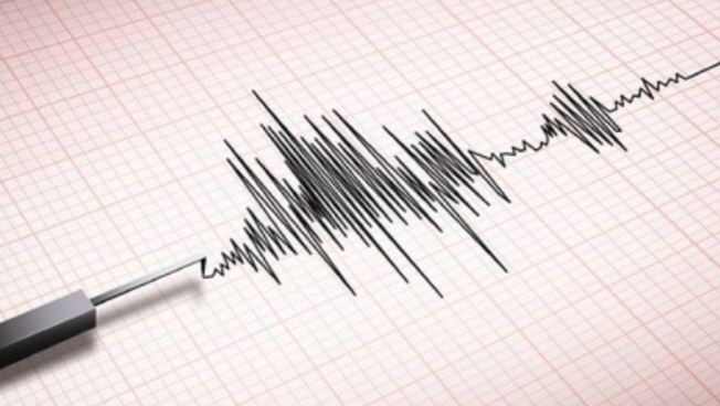 BMKG: Tsunami Mentawai-Siberut Teramati Setinggi 11 cm