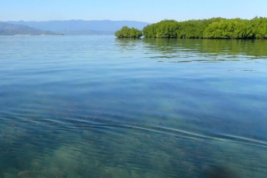 Pulau Panjang Sumbawa Diklaim Dijual Online, Pemda NTB Kaget