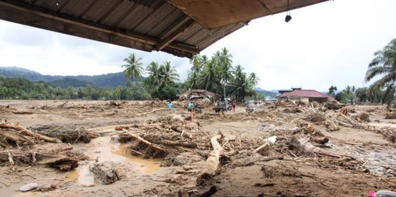 Tumpang Tindih Korupsi, Kerusakan Hutan dan Bencana di Sumatera