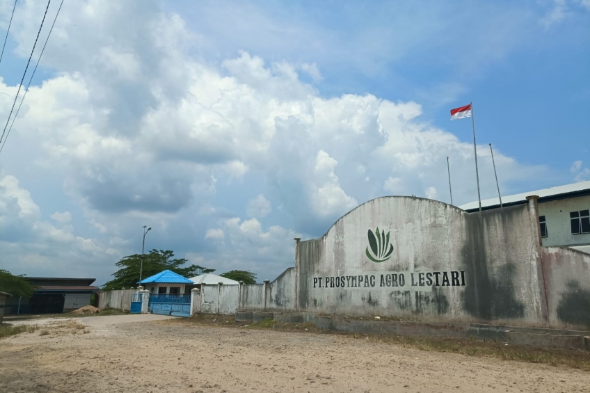 Tiga Tahun Tutup, Pabrik Kelapa Sawit ini Hidup Lagi