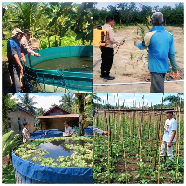 Polsek Rengat Barat Kawal Program P2B, Warga Semakin Semangat Manfaatkan Lahan Produktif