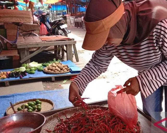 Harga Cabe Merah di Inhil Tembus Rp 150.000 per Kilogram