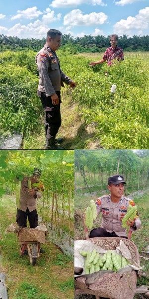 Polsek Rengat Barat Intensif Monitoring Program Pekarangan Pangan Bergizi di Tiga Desa