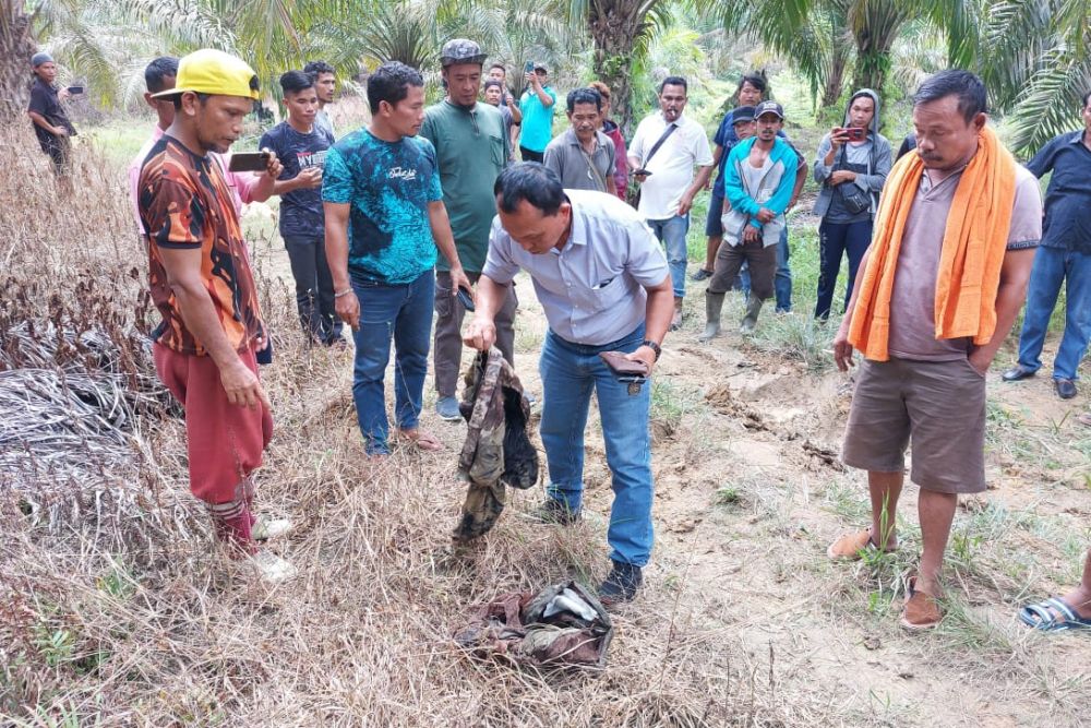 Ya Ampun, Pemilik Kebun di Minas Tewas Diinjak Gajah