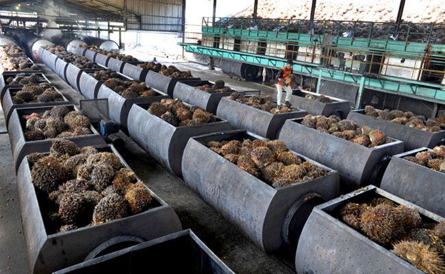 Pasokan Minyak Goreng Sawit Sudah Terpenuhi, Harga Jual CPO Turun US$ 183/Ton.