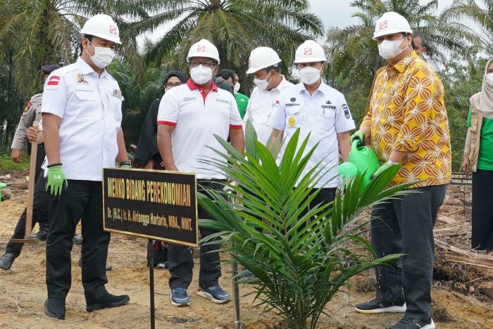 Menko Perekonomian Airlangga Tanam Perdana Program PSR Kemitraan di Riau