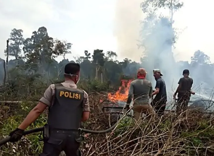 Polda Riau Tangkap Sembilan Pelaku Karhutla